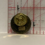 Student Assesment a Continuous Process Lapel Hat Pin