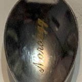Nordegg Alberta Bear Collectable Souvenir Spoon CJ