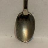 Las Vegas Nevada Rodeo Collectable Souvenir Spoon EU