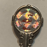 Sunken Gardens St. Petersburg Florida Flamingo Collectable Souvenir Spoon CJ