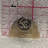 I Support Campaign Sight First II Vision for All  Lapel Pin