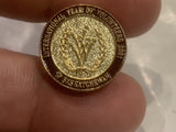 International Year of Volunteer 2001 Saskatchewan Logo Lapel Hat Pin