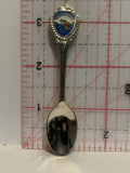 Washington Fish Souvenir Spoon