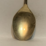 Niagara Falls Collectable Souvenir Spoon CL