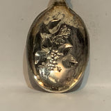 Nova Scotia Crest Emblem Flowers Collectable Souvenir Spoon CL