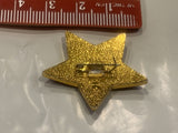 Boy in a Star Lapel Hat Pin