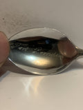 Fort Providence Northwest Territories Souvenir Spoon