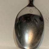 Cloumbia Icefields Jasper Alta Alberta Collectable Souvenir Spoon CM