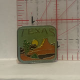 Texas Desert Lapel Hat Pin