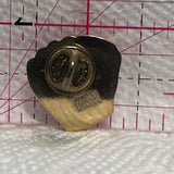 Minor Baseball Association Red Deer Glove  Lapel Pin
