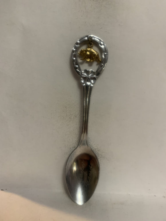 Jasper Canada Bear Alberta Souvenir Spoon