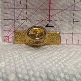 Bow Valley College  Lapel Pin