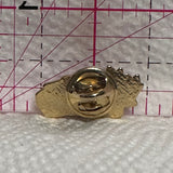 Cailc Accua Logo  Lapel Pin