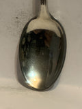 Florida Beach Souvenir Spoon