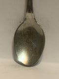 Death Valley California Road Runner Souvenir Spoon
