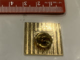 100% Attendance Award 1998 1999 Lions Club Lapel Hat Pin