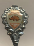 Arkansas The Hoosier State Razorbacks Souvenir Spoon