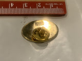 Waskasoo Handicap Riding Assoc WHRA Logo Lapel Hat Pin
