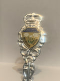 Nanisuzik Northwest Territories Mountain Avens Souvenir Spoon