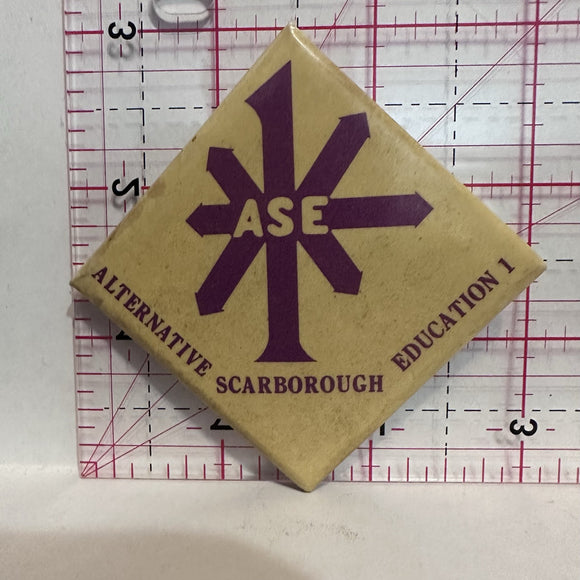 ASE Alternative Scarborough Education 1 Clubs Button Pinback
