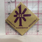 ASE Alternative Scarborough Education 1 Clubs Button Pinback