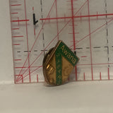 Awana 2 Years Logo Lapel Hat Pin