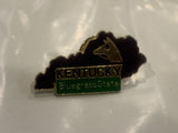 Kentucky Bluegrass State Lapel Hat Pin