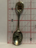 Think Snow Florida Souvenir Spoon