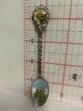 Radium Hot Springs BC Canada Black Bear Souvenir Spoon