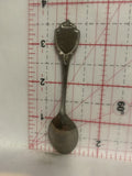 Colorado Mountains Souvenir Spoon