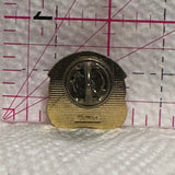 Town of Raymond Home of the 1st Stampede  Lapel Pin