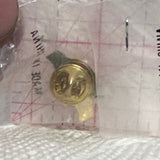 Town of Teulon  Lapel Pin
