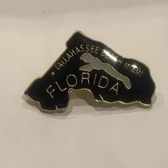 Tallahassee Beach Miami Florida State Lapel Hat Pin AM