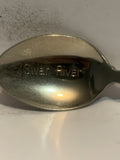 Swan River Manitoba Crocus Flower Souvenir Spoon