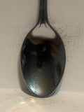 South Carolina  Souvenir Spoon