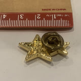 Pair of Stars Lapel Hat Pin AN