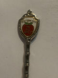 New York City The Big Apple Souvenir Spoon