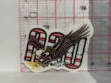 Bald Eagle USA Flag Iron On Patch AA
