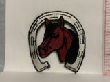 Horse in a Horseshoe Iron On Patch AA