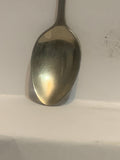 Hell's Gate British Columbia Canada Souvenir Spoon