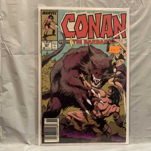 #224 Conan The Barbarian Marvel Comics BC 8391