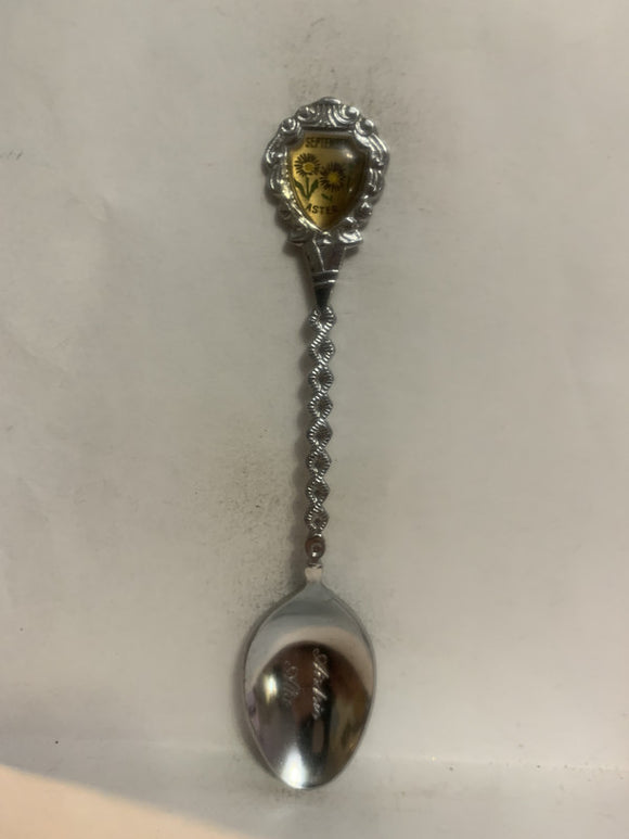 Ardrie Alberta September Aster Flower Souvenir Spoon