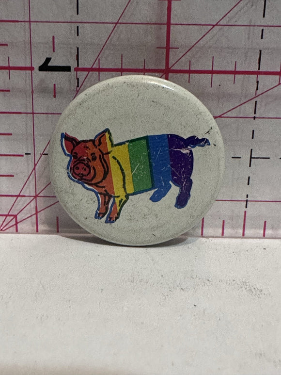 Rainbow Pig  Button Pinback