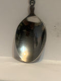 Radium Hot Springs British Columbia Souvenir Spoon