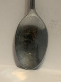 Texas Cattle Souvenir Spoon