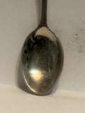 Arizona Cactus Souvenir Spoon
