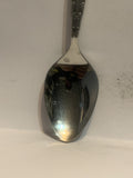 David Thompson Country Alberta Souvenir Spoon