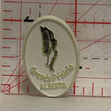 Grande Prairie Alberta Swan Lapel Hat Pin
