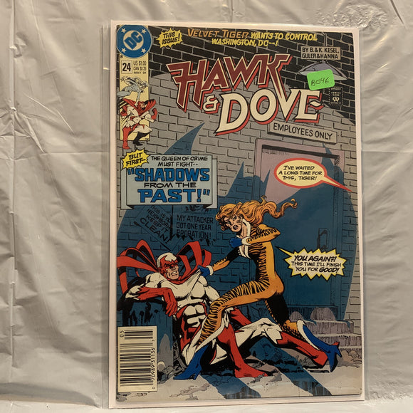 #24 Hawk & Dove Shadows from the Past DC Comics BG 8679