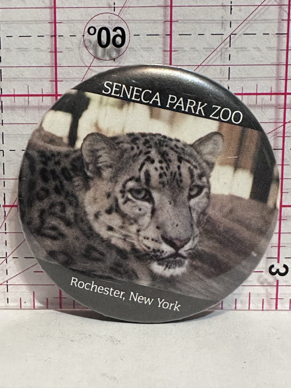 Seneca Park Zoo Rochester New York Snow Leopard  Button Pinback